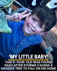 Brenda Maple's Instagram, Twitter & Facebook