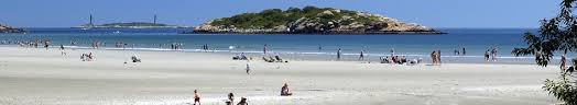 Image result for good harbor beach