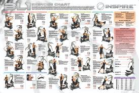 Weider Home Exercise Online Charts Collection