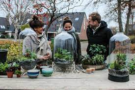 diy maak zelf een mini tuintje voor in huis eigen huis en tuin huis en tuin tuin planten