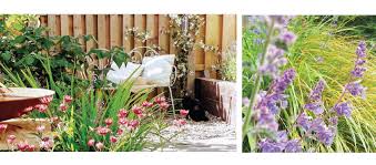 Anne Byrne Garden Design Home Facebook