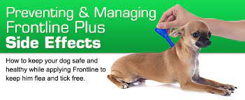 Can frontline make a dog sick? Does Frontline Plus Have Side Effects Entirelypets