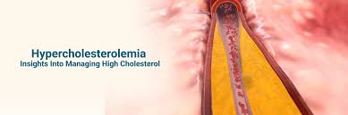 Image result for Hypercholesterolemia