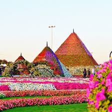 حديقة الزهور ميراكل دبي الإمارات Miracle Garden Dubai Uae By Sharlajeanah Must See Dubai Holidays Visit Dubai Dubai Travel