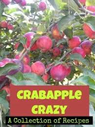 If You Have A Crab Apple Tree You May Be Struggling To Use Up All Those Apples Don T Worry Here S A Collection O Crab Apple Recipes Crab Apple Apple Recipes