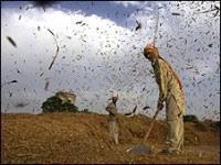 Sifted Like Wheat » Ben Sternke