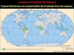 This map shows the location of the wolrd's rainforests. The Tropical Rainforest Biome Ppt Download