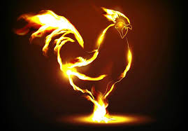 What does api stand for? Ramalan Cinta Sesuai Shio Di Tahun Ayam Api Womantalk