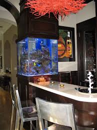 103a3a0a8a2cad757ad5003c40ce8202 Jpg 768 1 024 Pixels Saltwater Fish Tanks Aquarium Custom Aquarium