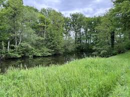 Liselavicking MYM Leak - Nude Photos & Videos