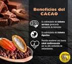 Xocoan Productos de cacao