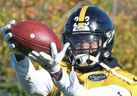 Nfl contract specifics generally collected from verified reports. Steelers Will Release Mike Mitchell And Other Veterans Source Says Pittsburgh Post Gazette