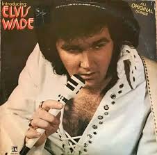 Now this is brilliant! Is it me or does the chorus line sound like Elvis  Costello? The lead singer, Gruff Rhys, sang the entire track using a  vocoder to, quote, "Imitate others