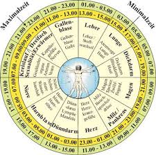 Durch die beobachtung und verbindung des menschlichen körpers und der meridiane, hat sich daraus das wissen der organuhr entwickelt. 11 Organuhr Ideen Organuhr Organe Chinesische Medizin