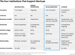 What Startup Accelerators Really Do Startup Funding Start Up Investing