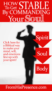 What are the differences between a man's spirit, soul, heart, mind and brain? bible answers. How To Get Stable By Commanding Your Soul