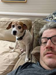 Update: REUNITED with his family!! Found at Sherbrooke Lane and Holt Rd.