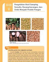 Check spelling or type a new query. Bab 5 Pengolahan Hasil Samping Serealia Kacang Kacang Dan Umbi Menjadi Produk Pangan