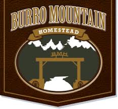 New Mexico Lodge And Rv Park Cabin Rv Site Reservations See more of abbyy coupon code 2021 on facebook. new mexico lodge and rv park cabin