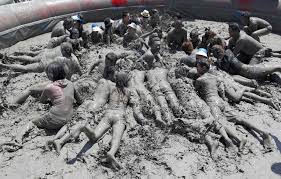 Image result for boryeong mud festival