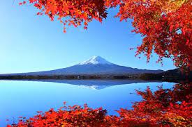 If you are planning to visit japan this. Japan Rail Pass On Twitter Autumn Colors In Japan 2018 Fall Foliage Forecast Https T Co Be1chwwoau Jrailpass Travelguide