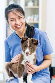 Your veterinarian can determine whether treatment is required. Identifying Congenital Heart Disease