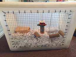 To make a diy cage you will need somthing like the folowing box it must be a tall box so the mice cant get up and grab the 3.clean the diy cage and put the deco in it and wala you have a mouse cage. Pin On Ideas For My Pets