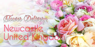 We did not find results for: The 6 Best Options For Flower Delivery In Newcastle Uk 2021