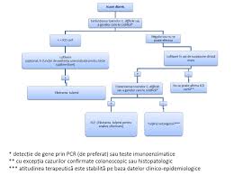 If you have an h. Http Old Ms Ro Documente Ghid 20de 20preventie 20diagnostic 20si 20tratament 20clostridium 20difficile 12948 12853 Pdf