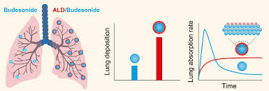 A budesonide inhaler is used to treat a range of breathing conditions including asthma. 63fqt3 Iuw U2m