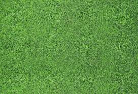 Green screen speed compositing hd background video effects | green matte backgrounds. Kate Green Grassland Spring Easter Rubber Mat Floor Drop Grass Textures Grass Wallpaper Green Lawn