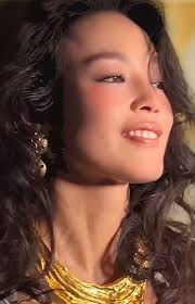 SHU QI FAN GROUP