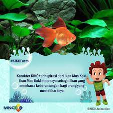We did not find results for: Rcti Ù¹ÙˆØ¦Ù¹Ø± Ù¾Ø± Karakter Kiko Di Animasi Kikoanimation Diinspirasi Oleh Ikan Mas Koki Loh Keren Kan