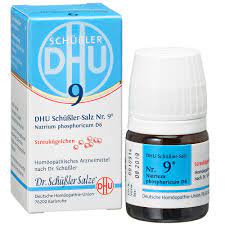 Schussler Salz Nr 9 Natrium Phosphoricum Gunstig Kaufen Shop Apotheke Com