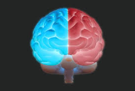 Resultat d'imatges de emdr