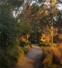 Hammock Hill Reserve East Bowral Wingecarribee Shire Council