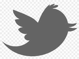 Twitter logo vector grey is about grey circle ,twitter ,twitter logo white. Twitter Grey Old Twitter Logo Png Transparent Png 1055x730 610834 Pngfind