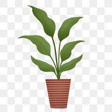 Brown Flower Pot Green Leaves Plantain Leaf Plant Cartoon Illustration Plant Clipart Hand Drawn Potted Illustration Beautiful Potted Plant Png Transparent Cl Green Flower Pots Flower Pots Spring Flowers Background