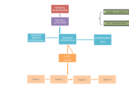 Team Organization Chart Download Scientific Diagram