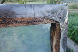 Maybe you would like to learn more about one of these? Garden Diy Building A Cold Frame Lid Sara S Kitchen Garden