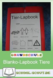 Im englischsprachigen raum liegen lapbooks voll im trend. Lapbook Tiere Sachunterricht In Klasse 2 4