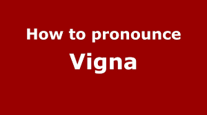 How to pronounce Vigna (SpanishArgentina) - PronounceNames.com - YouTube