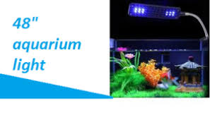 9 Best 48 Inch Lights For 55 Gallon Aquariums Inland Aquatics