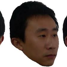 Examples of Chinese face exemplars presented to infants. The first face... 