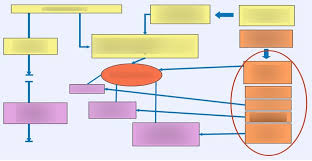 Seminar Bipolare Storungen Diathese Stress Modell Zu Entstehung Von Bipolaren Storungen Diagram Quizlet
