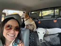 Dinner and drinks with dogs in town today?