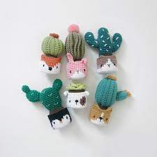I have heard the term used to describe a varied range of plants from euphorbias to fouquierias (ocotillo) to agaves, yuccas, & aloes. Cactus In The Facepot Amigurumi Com Kawaii Crochet Crochet Plant Crochet Patterns Amigurumi