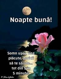 Felicitari De Noapte Noapte Bună Good Evening Good Night Night