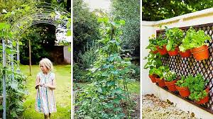 Position your pots where they will catch the sun but are also sheltered from strong. Growveg Youtube