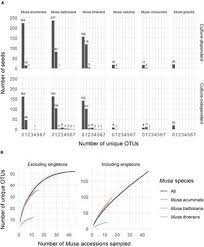 The importance of seed storage has been recognized ever since humans began to domesticate plants. Frontiers Seed Banks As Incidental Fungi Banks Fungal Endophyte Diversity In Stored Seeds Of Banana Wild Relatives Microbiology